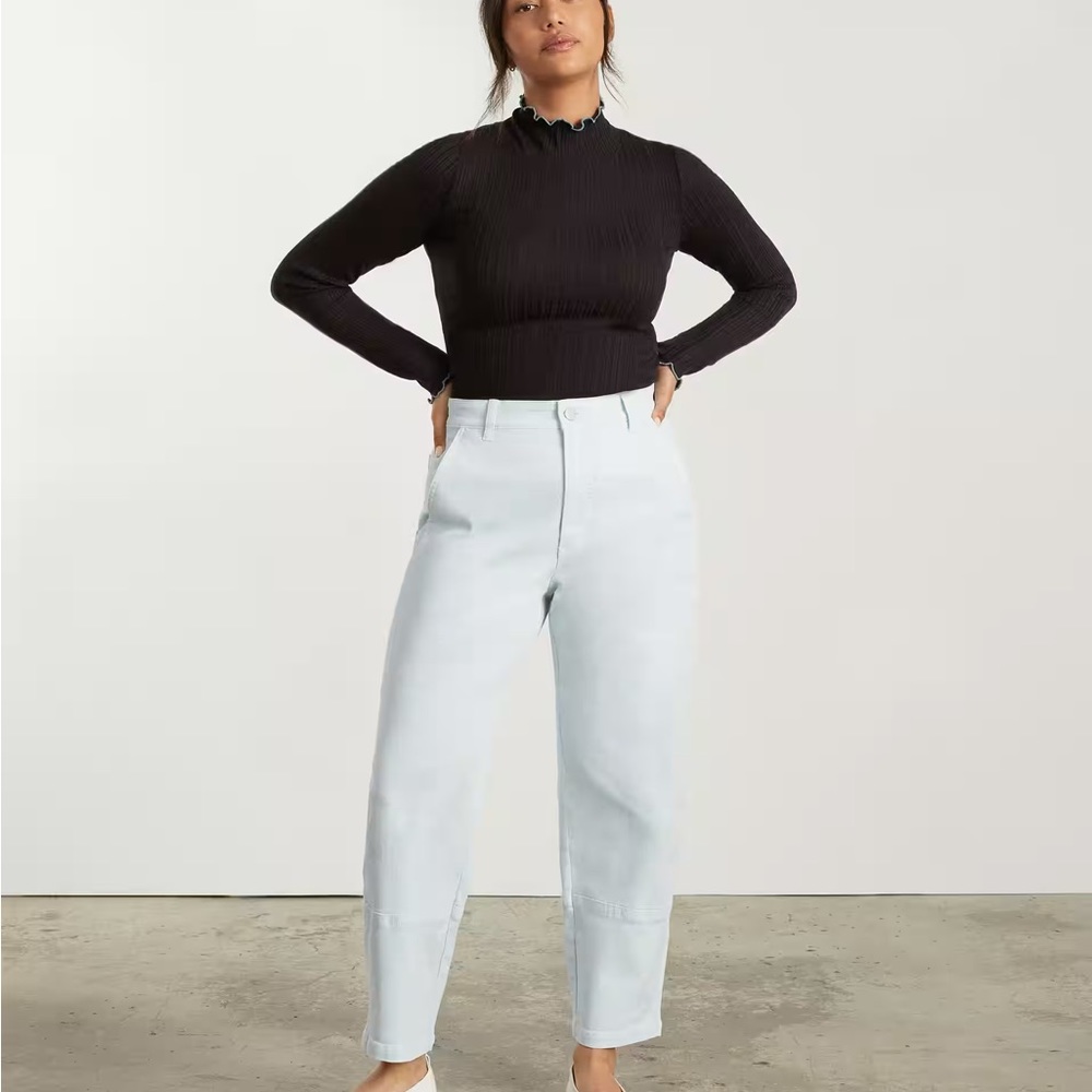 Everlane The Utility Barrel Pant Size 2 Regular